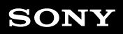 SONY Logo